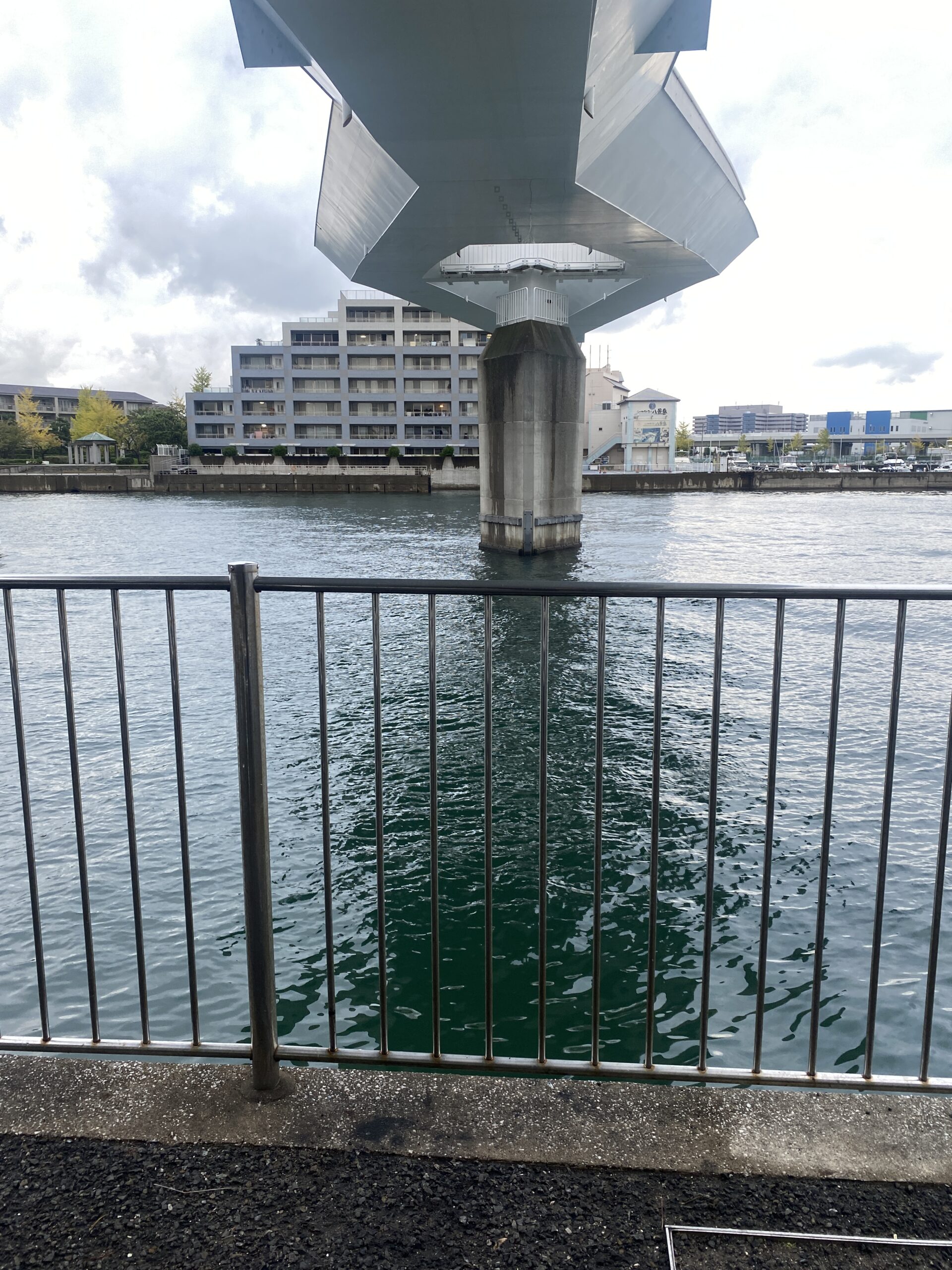 八景島駅前　釣り
