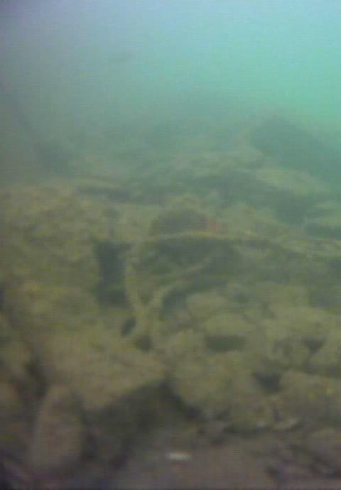 八景島駅前　釣り　水中画像