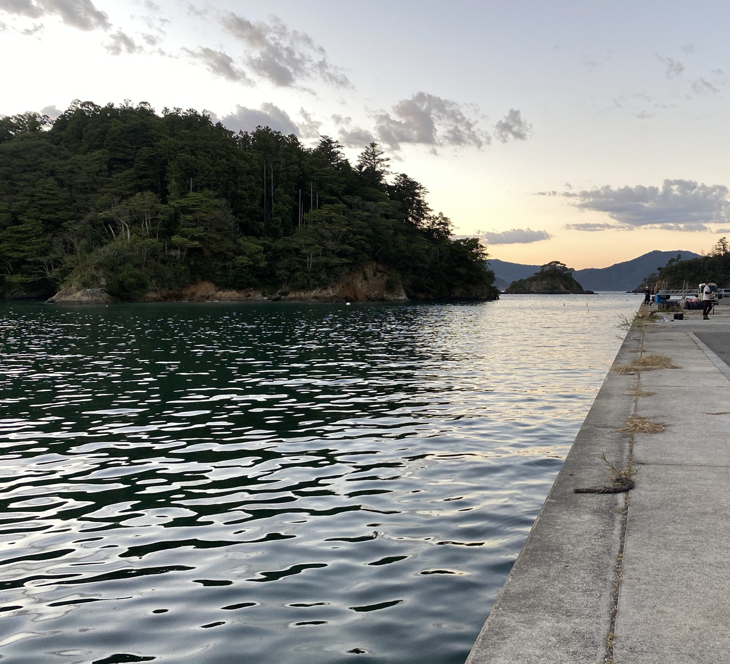 出島港　釣り