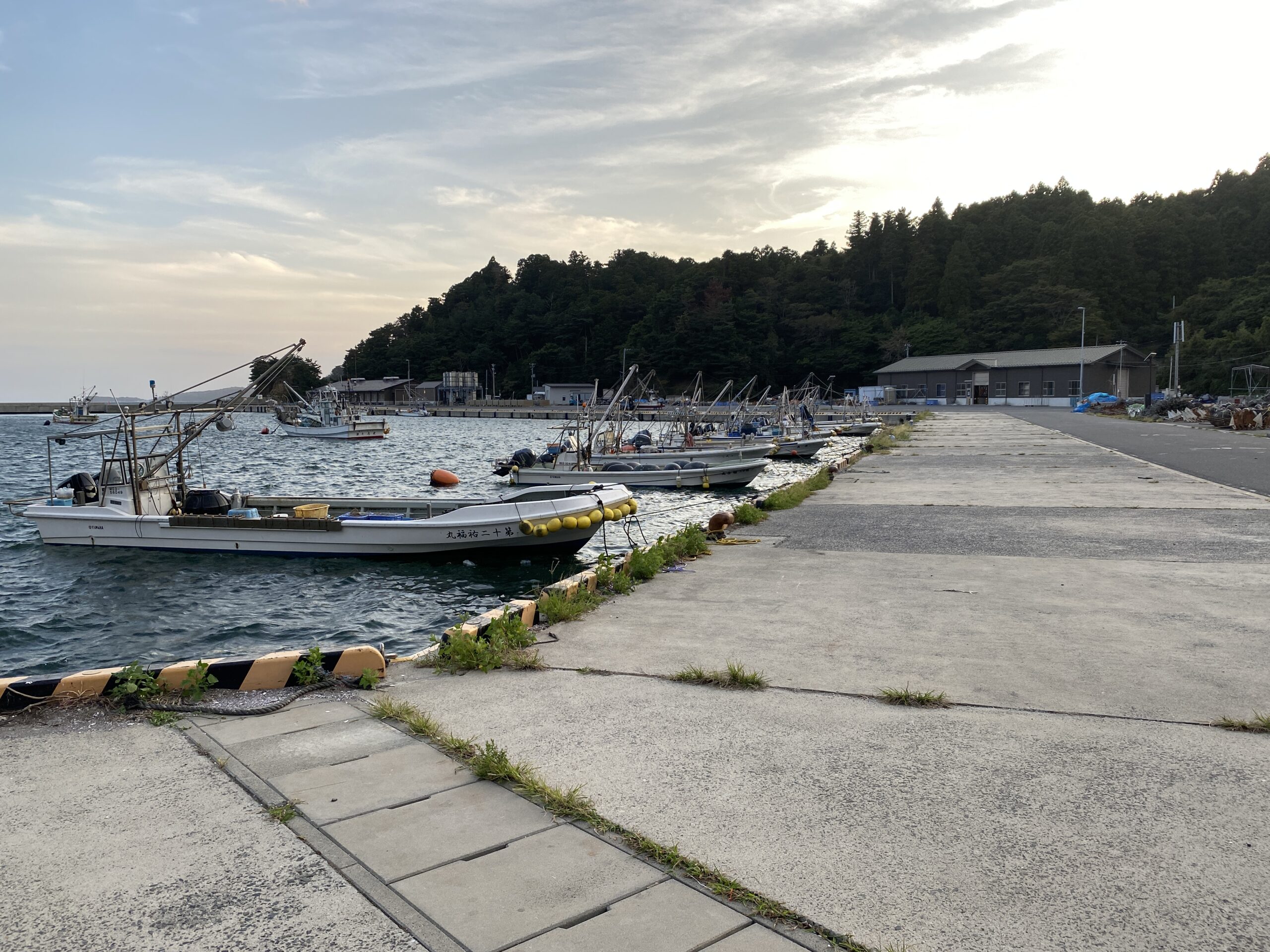 福貴浦漁港 釣り