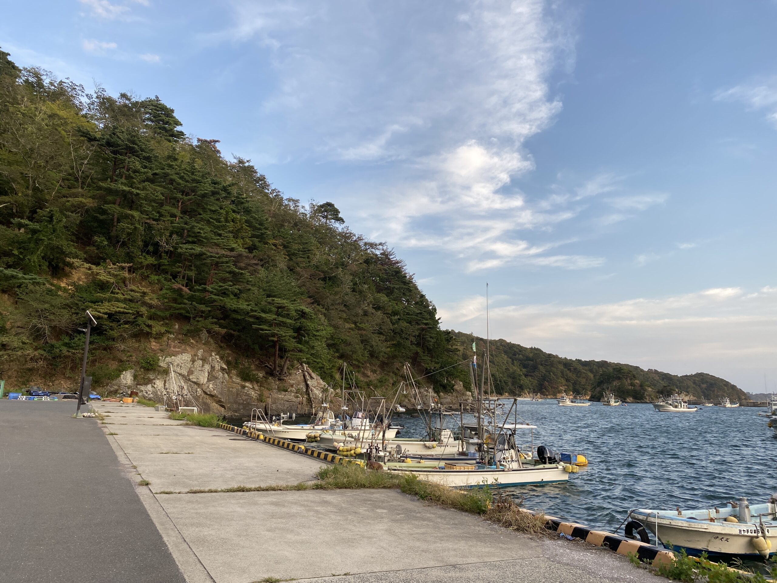 福貴浦漁港 釣り