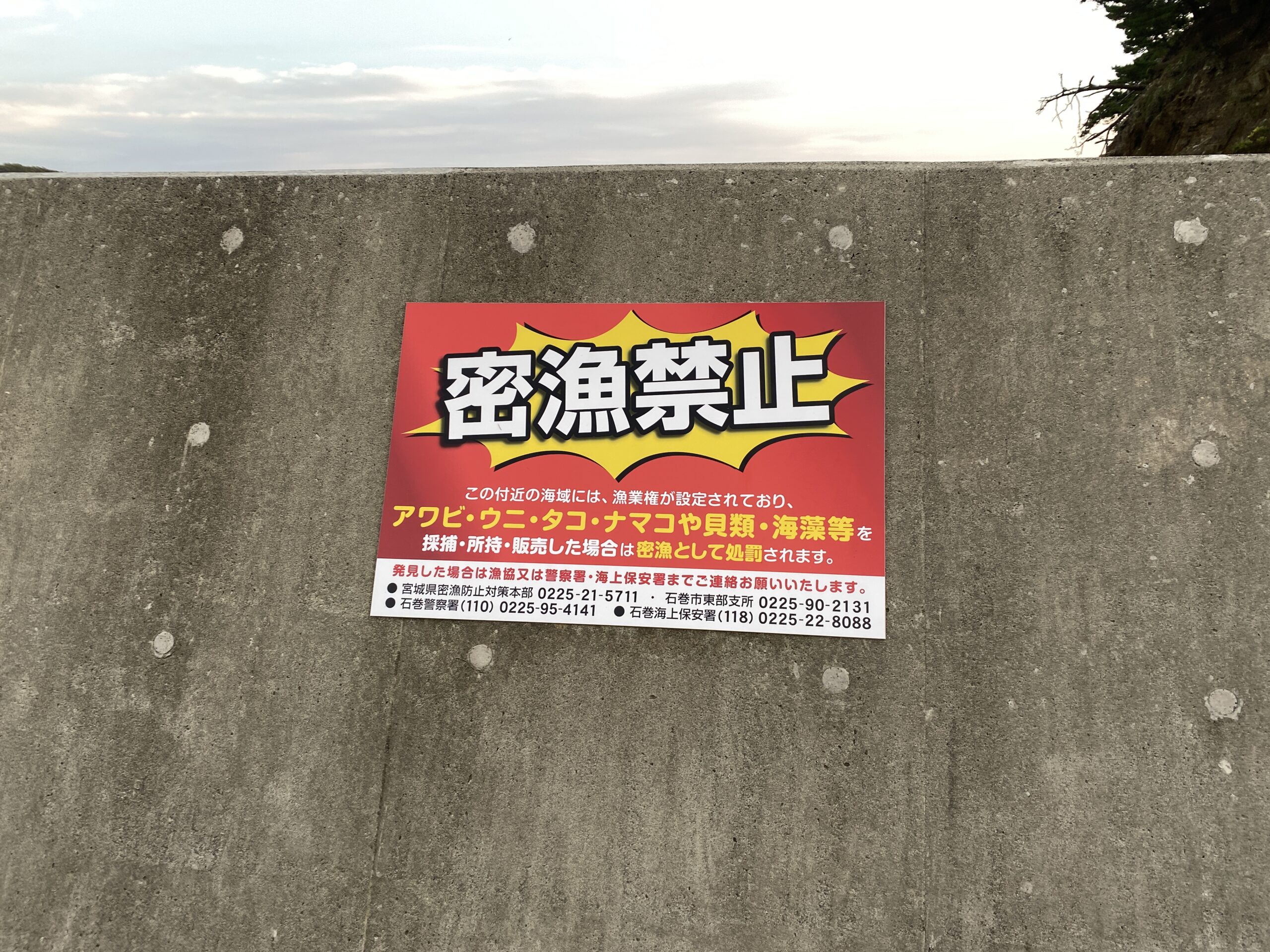 福貴浦漁港 釣り