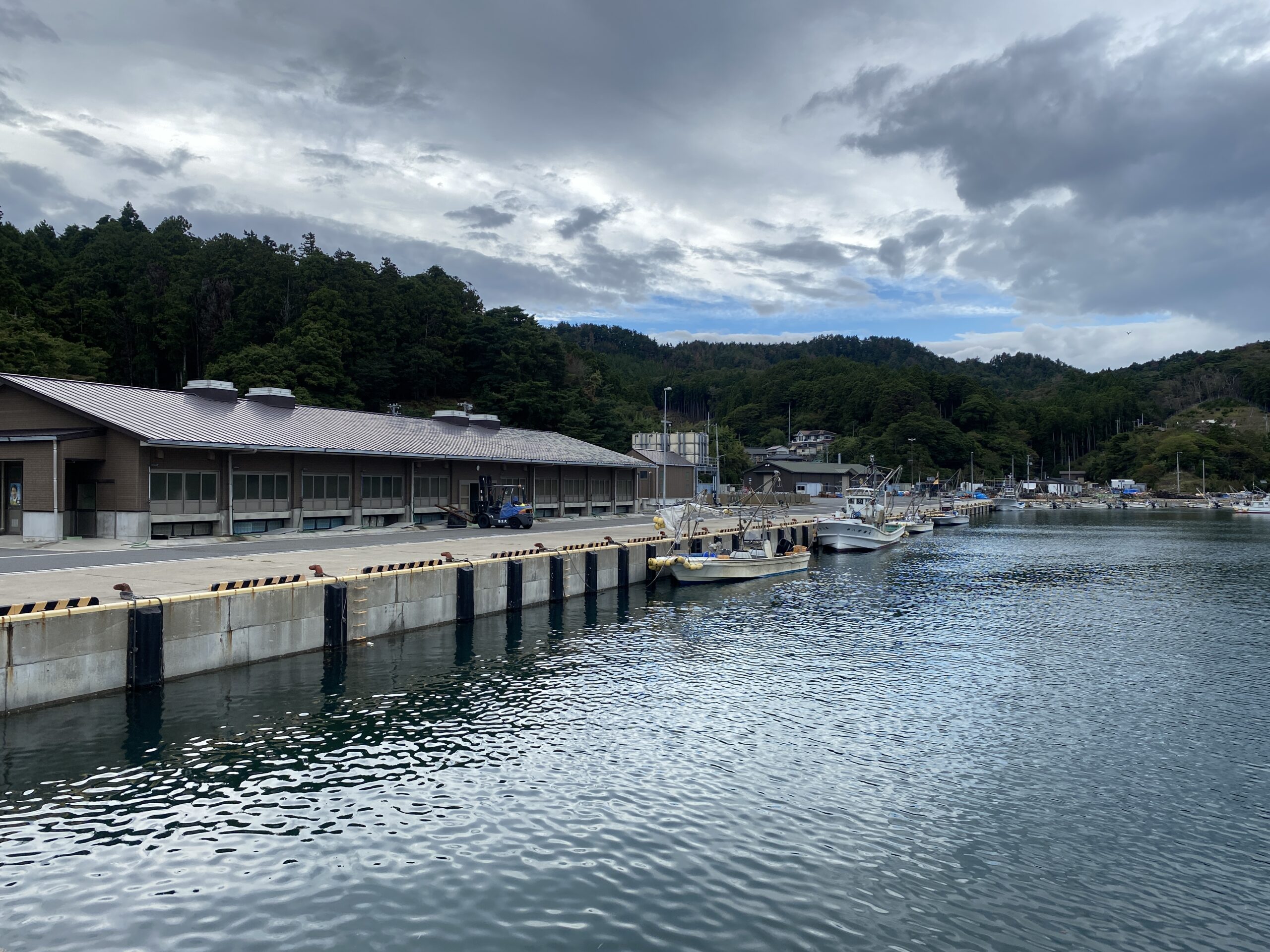 福貴浦漁港 釣り