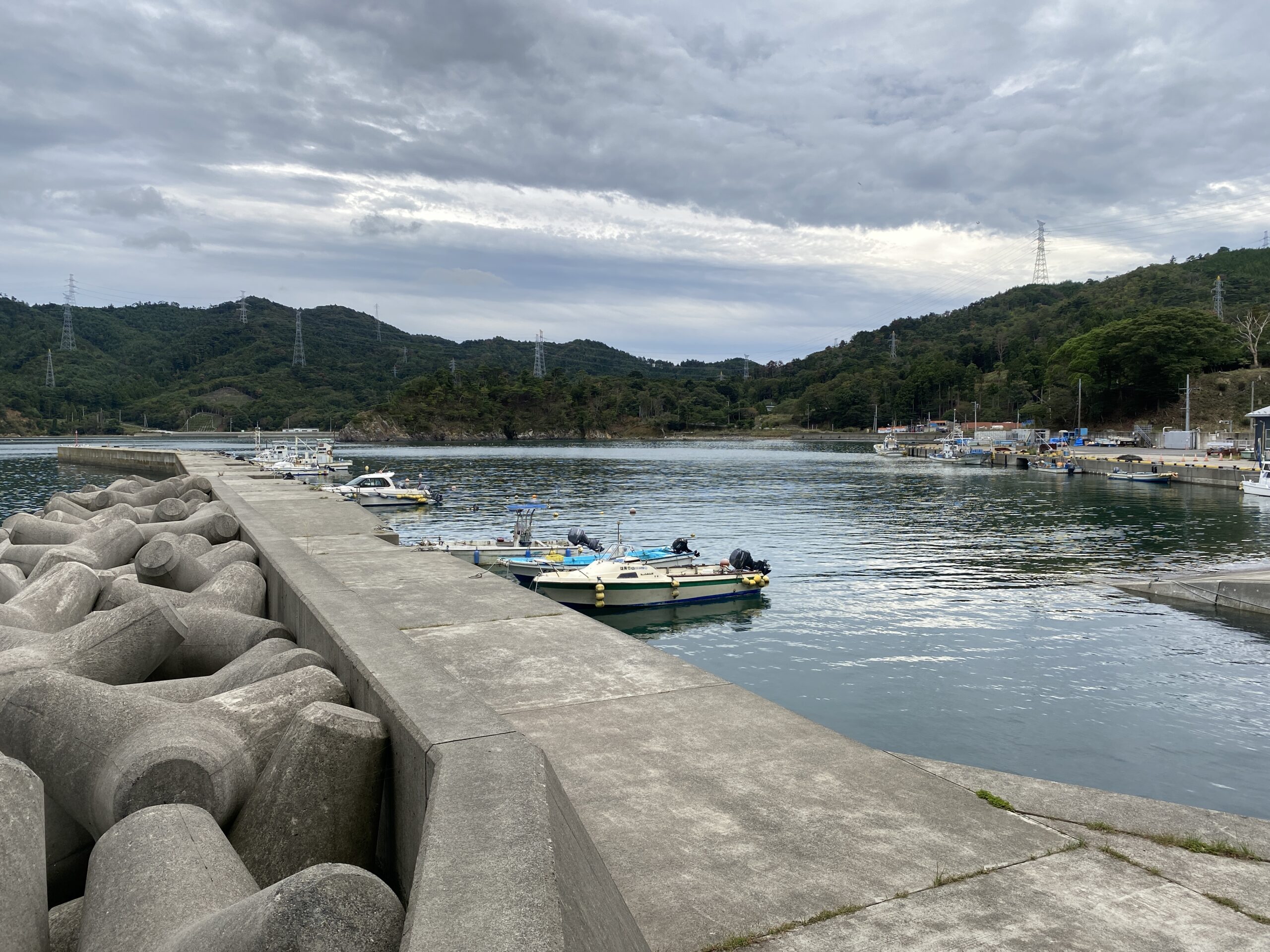 大石原浜漁港 釣り