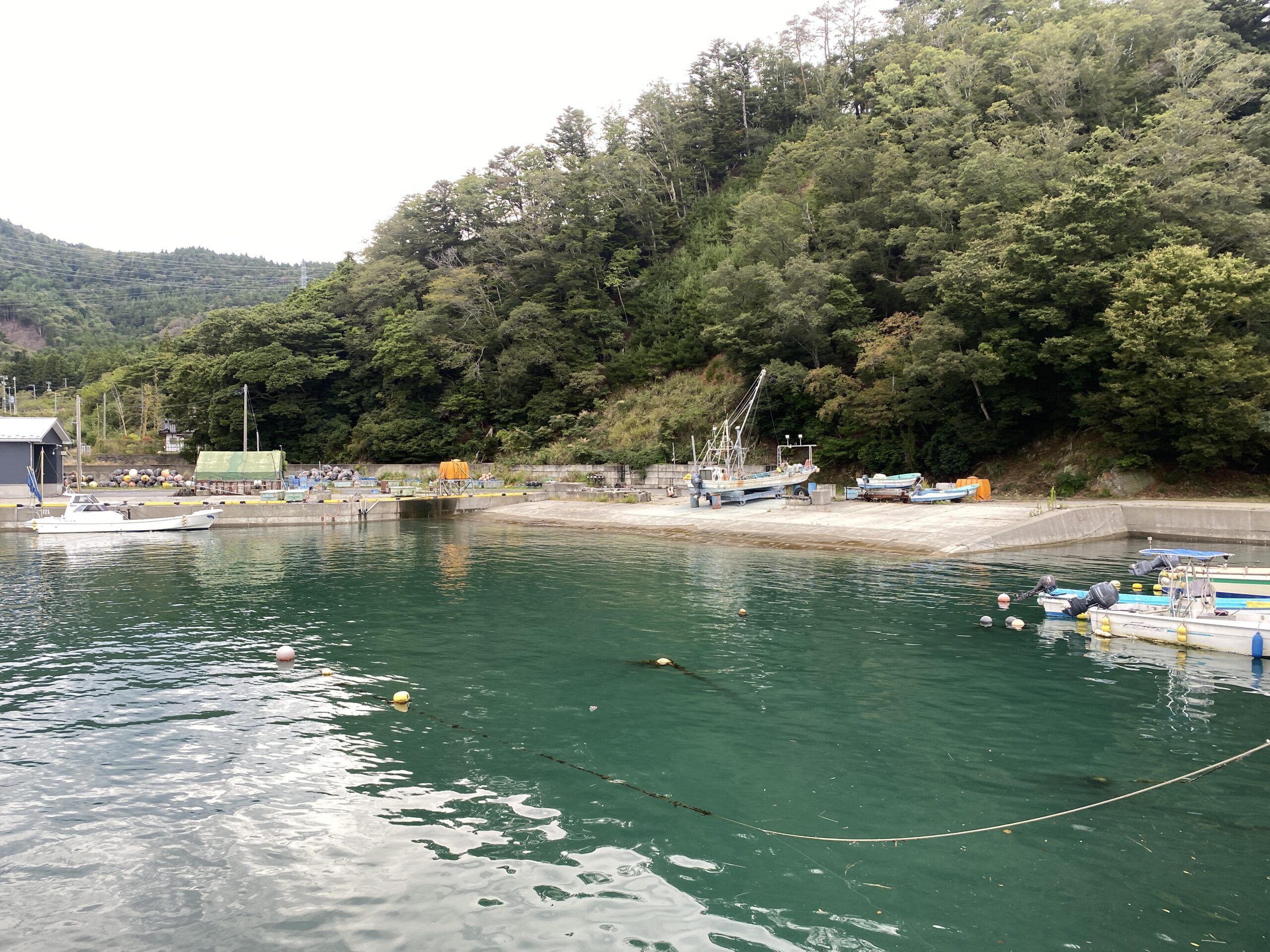 大石原浜漁港 釣り