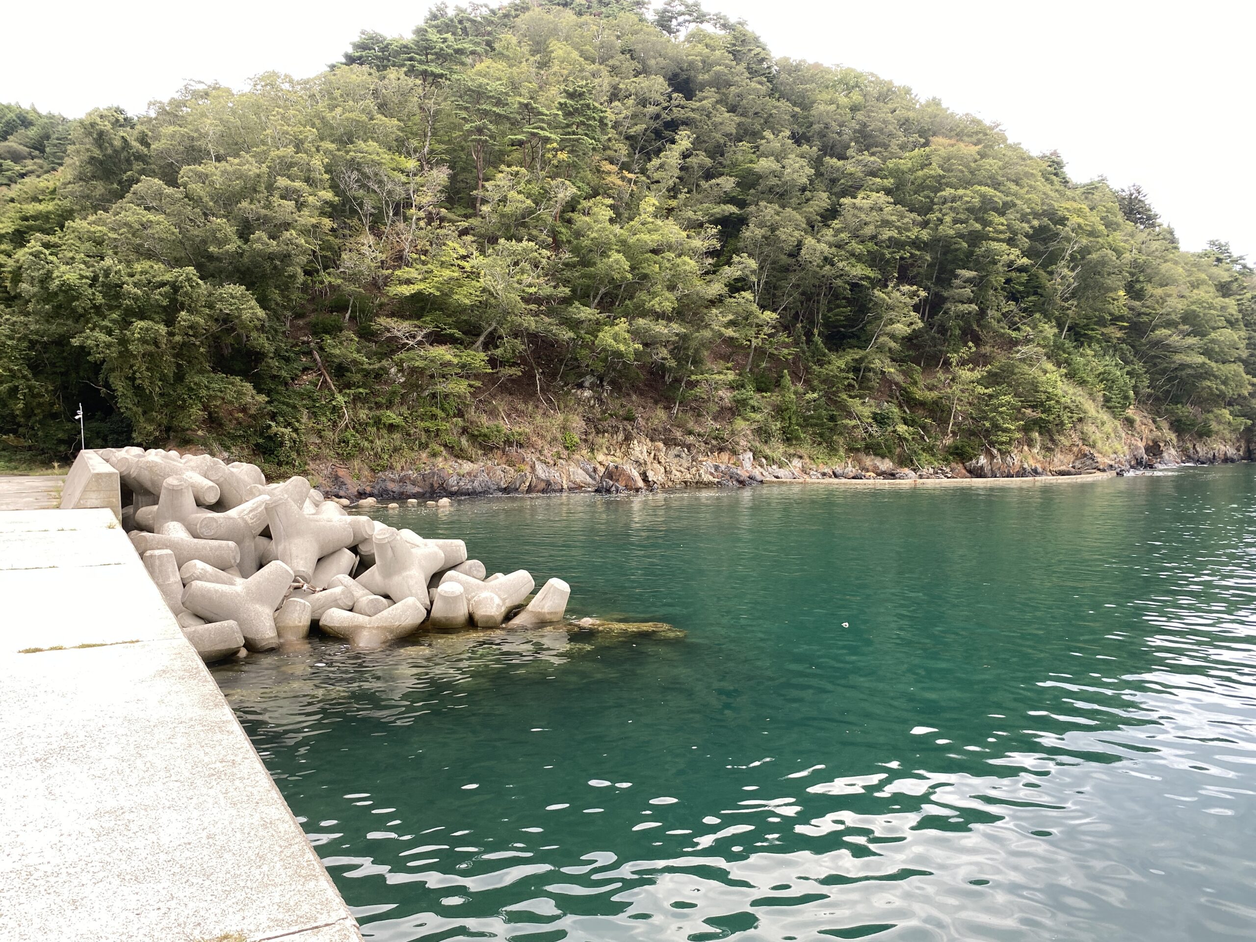 大石原浜漁港 釣り