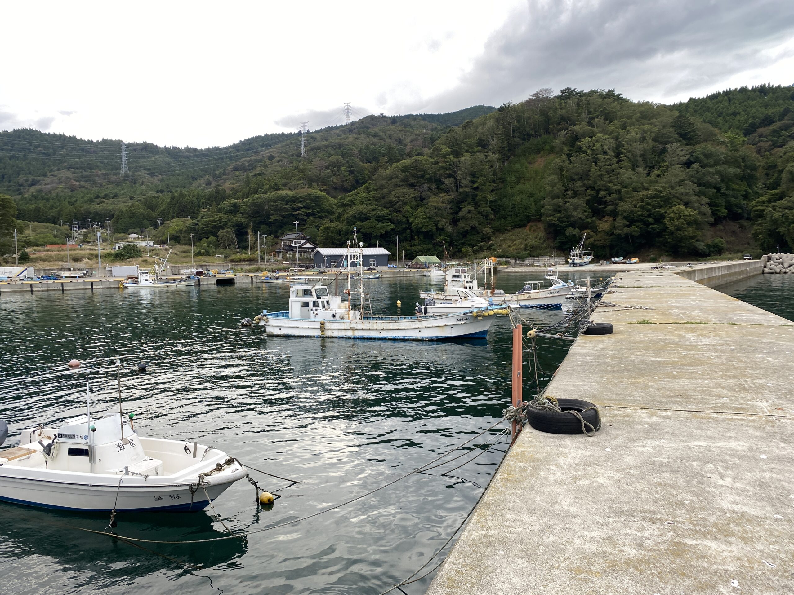 大石原浜漁港 釣り