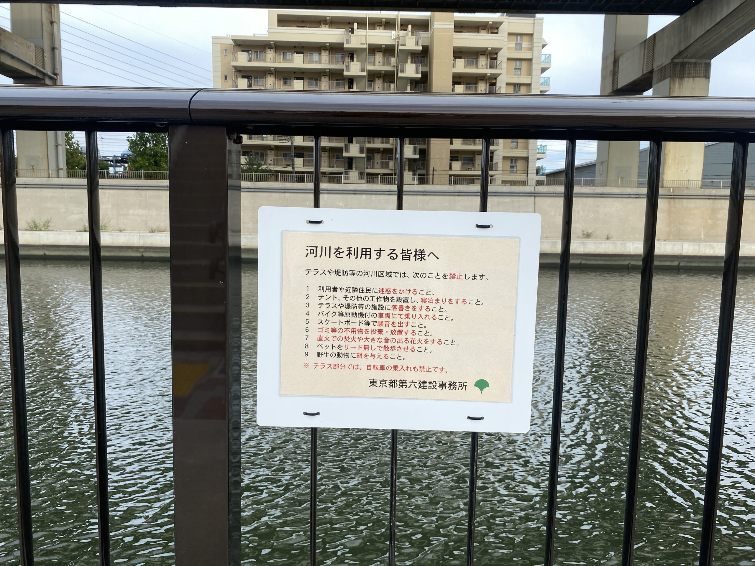 綾瀬川遊歩道 釣り