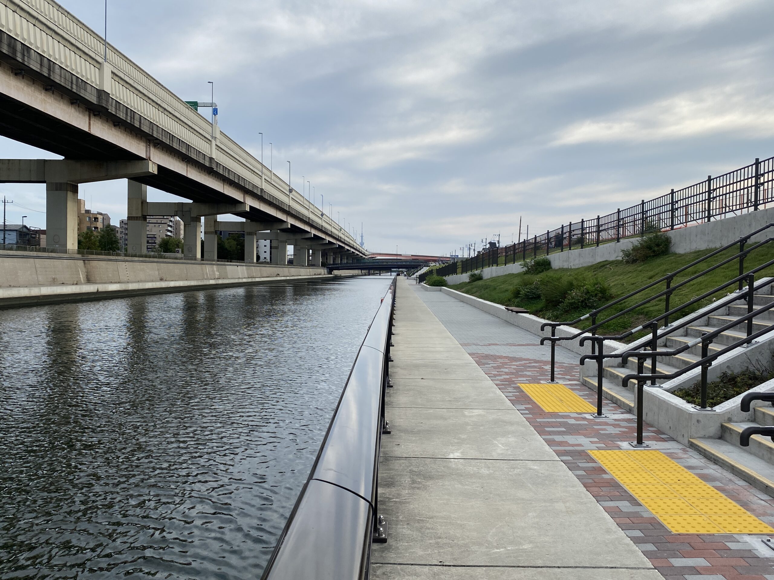 綾瀬川遊歩道 釣り