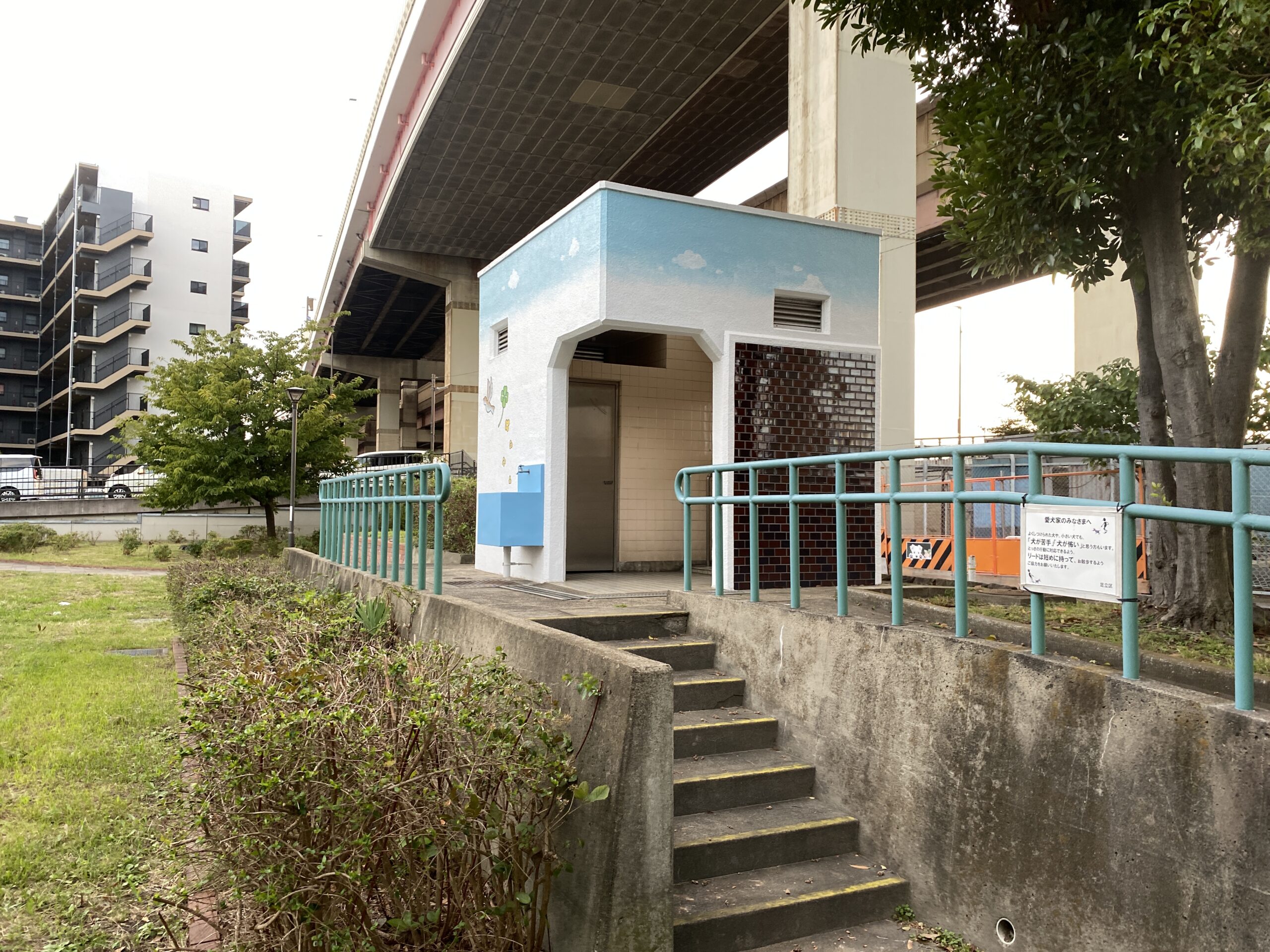 綾瀬川遊歩道 釣り