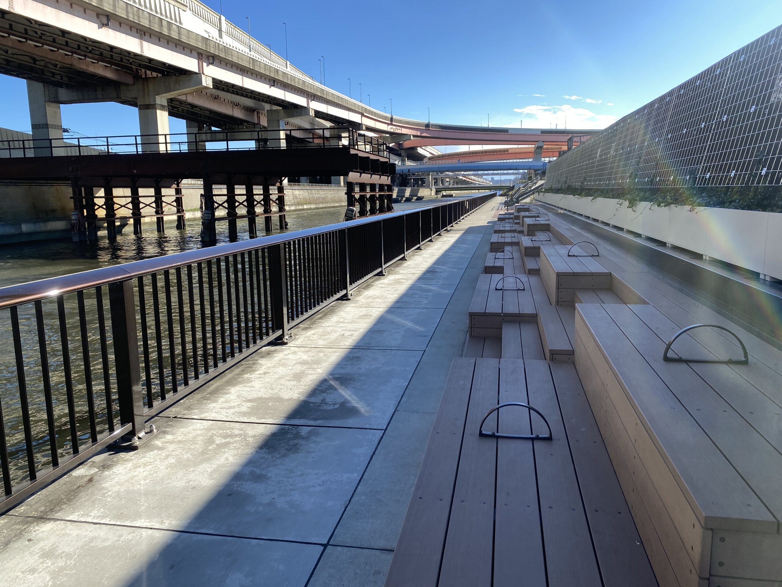 綾瀬川遊歩道 釣り