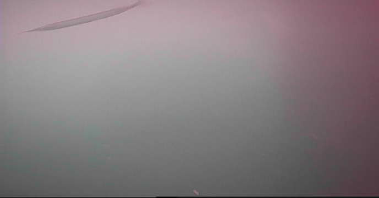 大石原浜漁港 釣り 水中映像