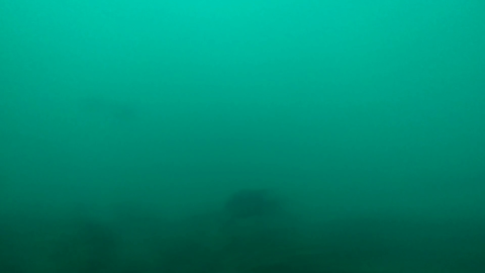 大石原浜漁港 釣り 水中映像