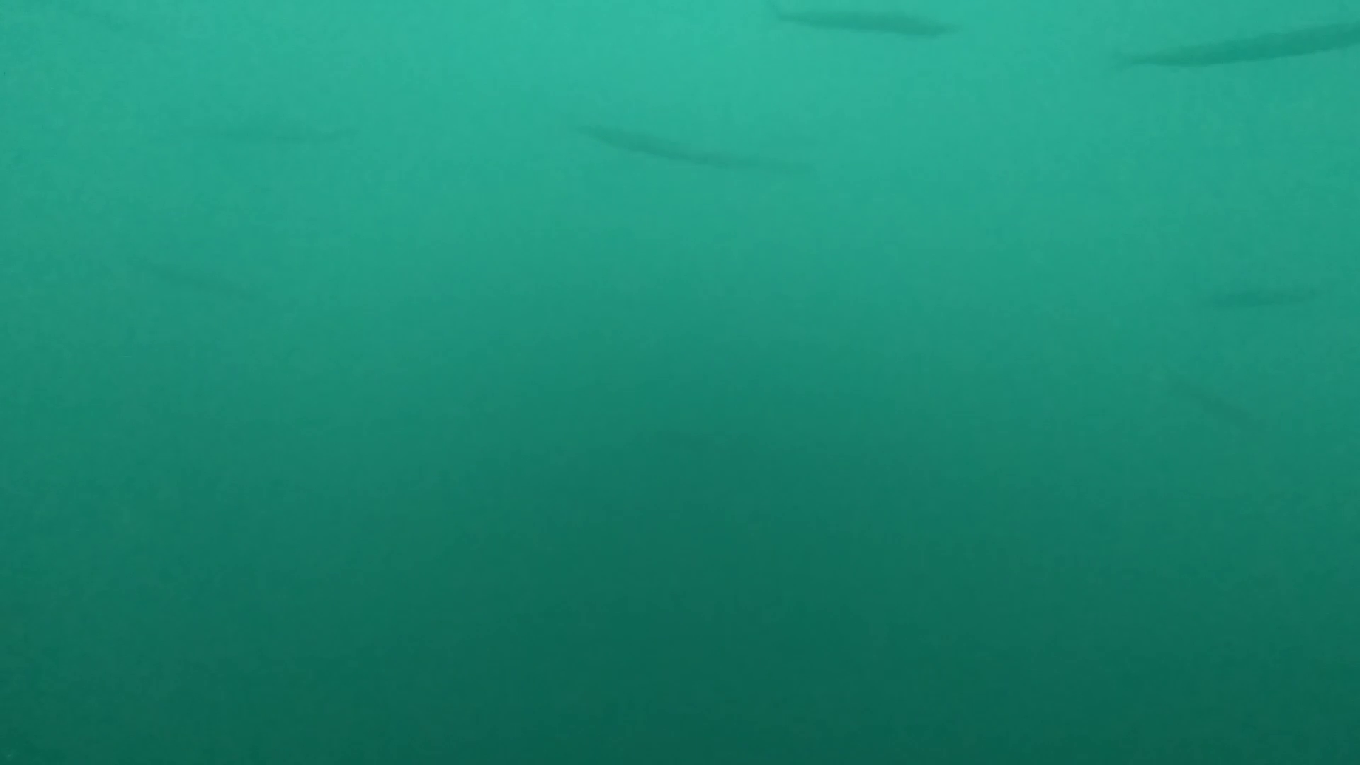 大石原浜漁港 釣り 水中映像