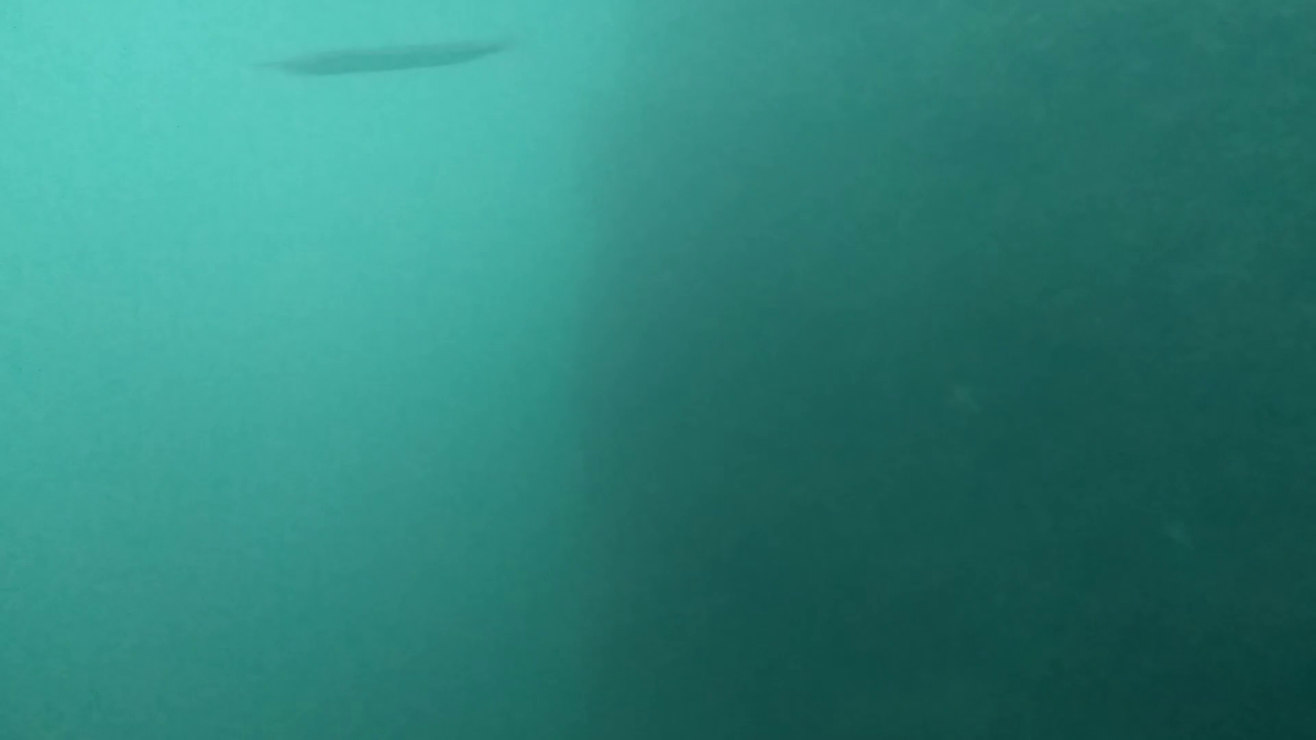 大石原浜漁港 釣り 水中映像