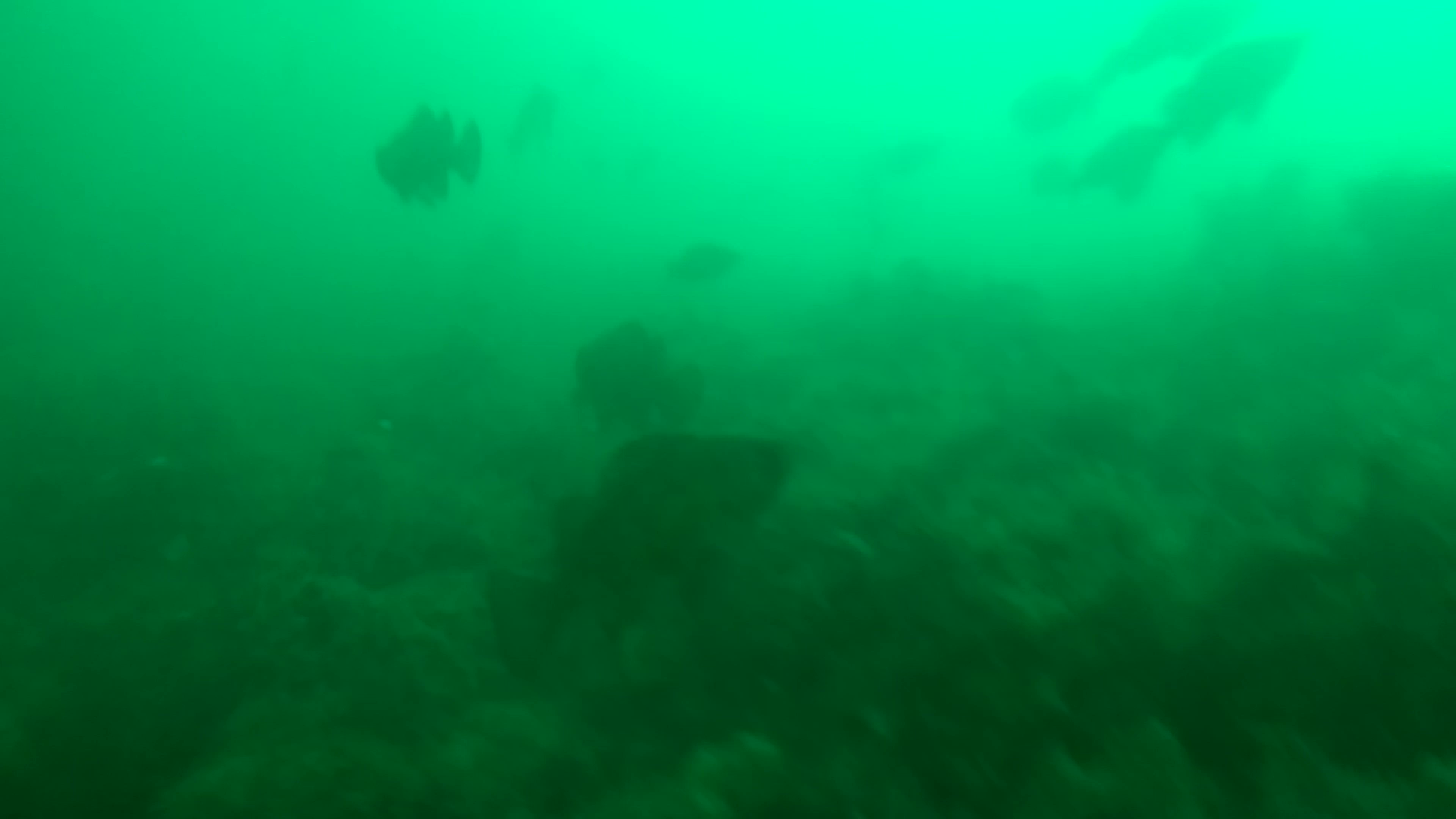 福貴浦漁港 釣り