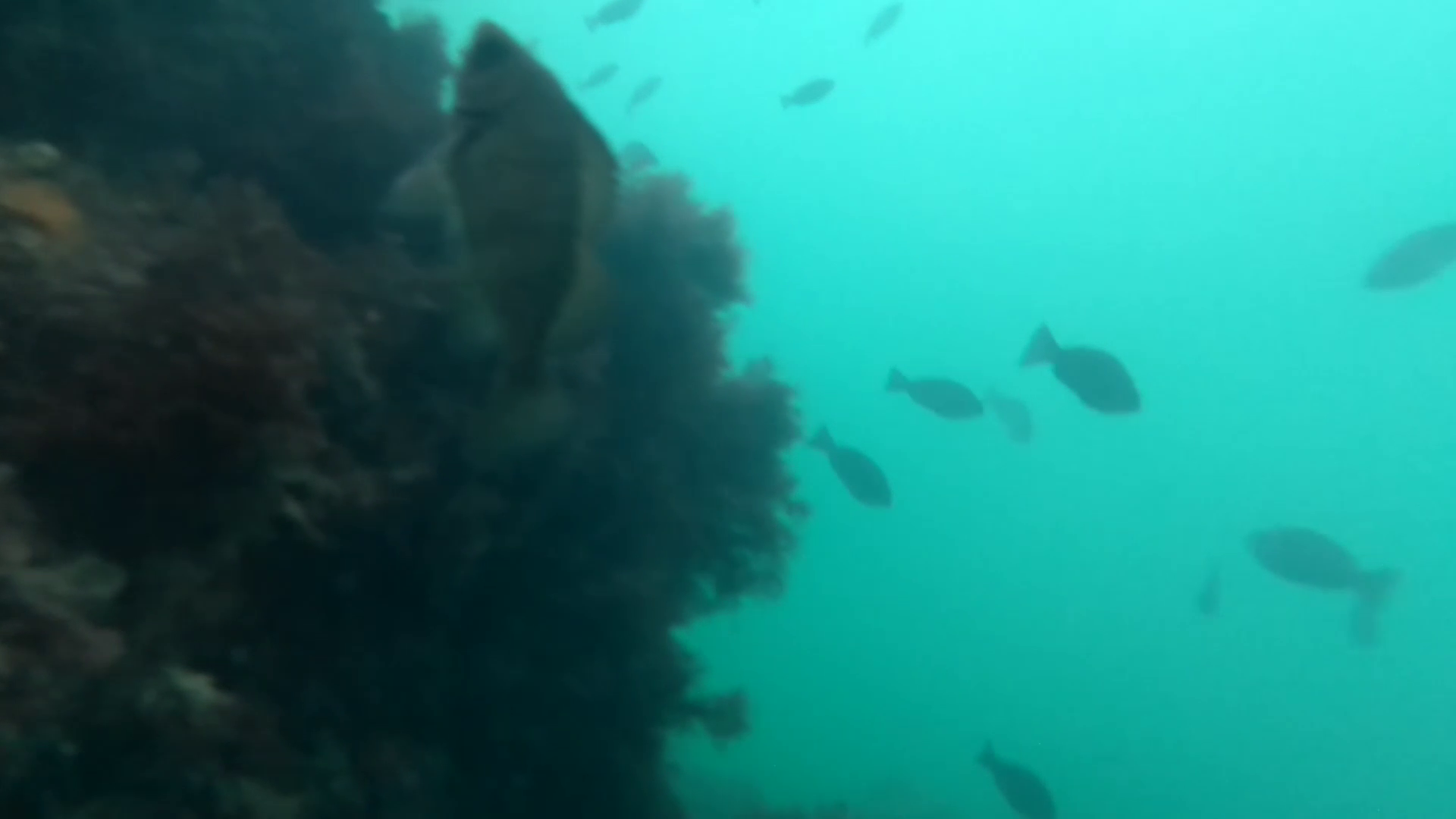 福貴浦漁港 釣り