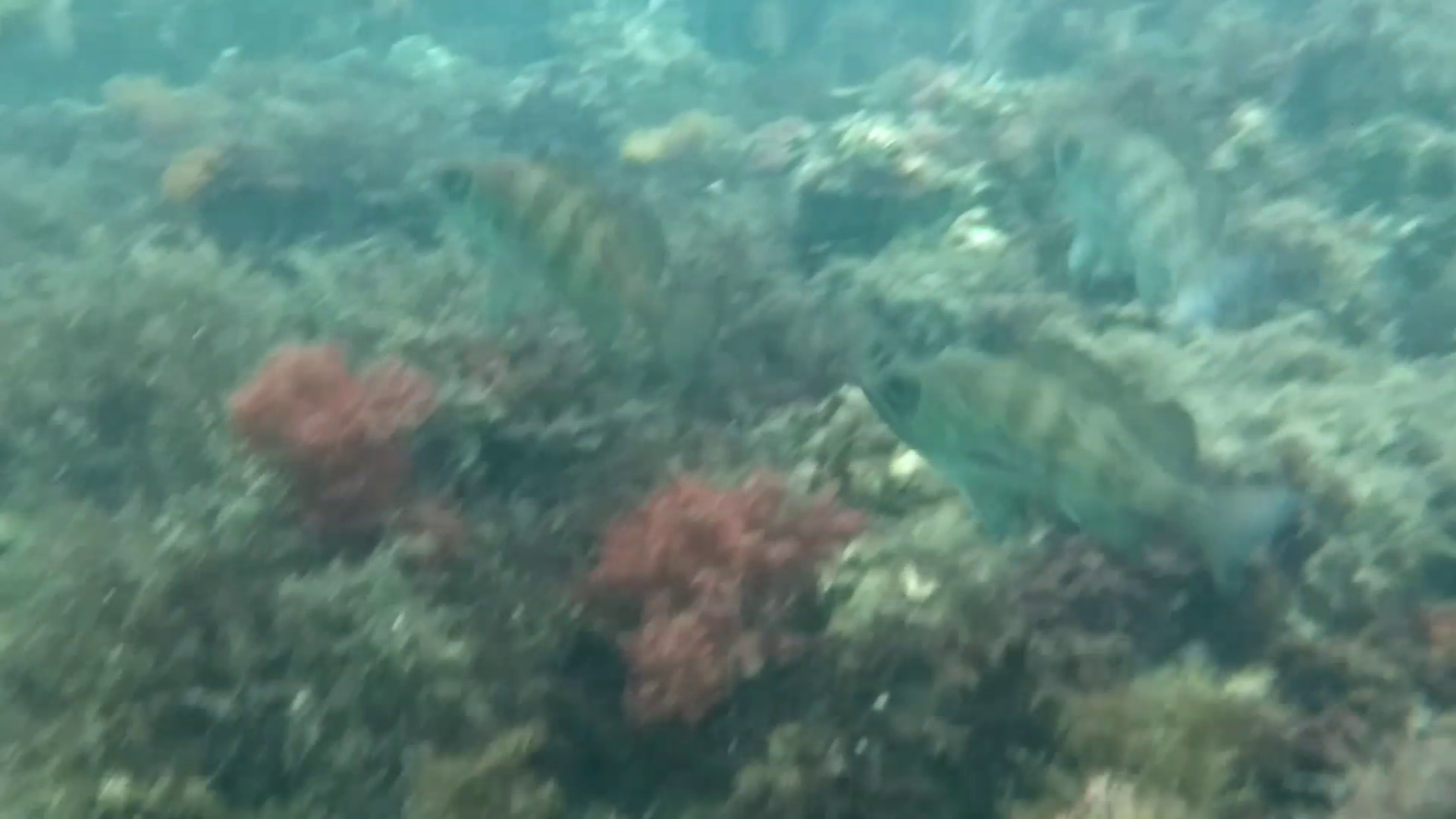 福貴浦漁港 釣り