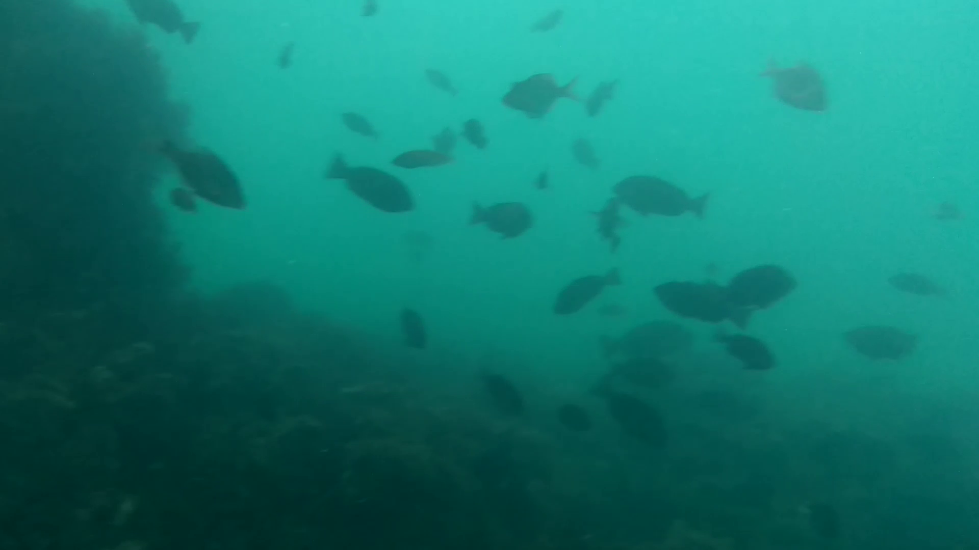 福貴浦漁港 釣り