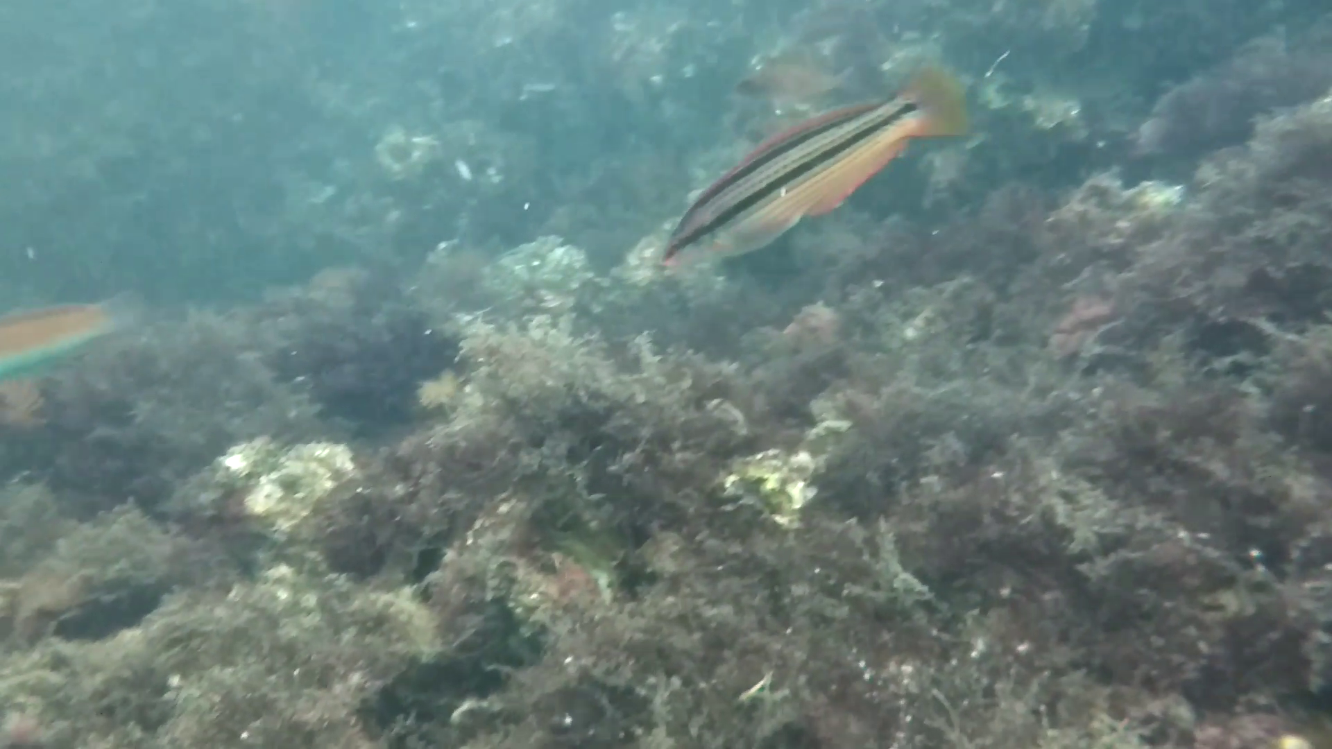 福貴浦漁港 釣り