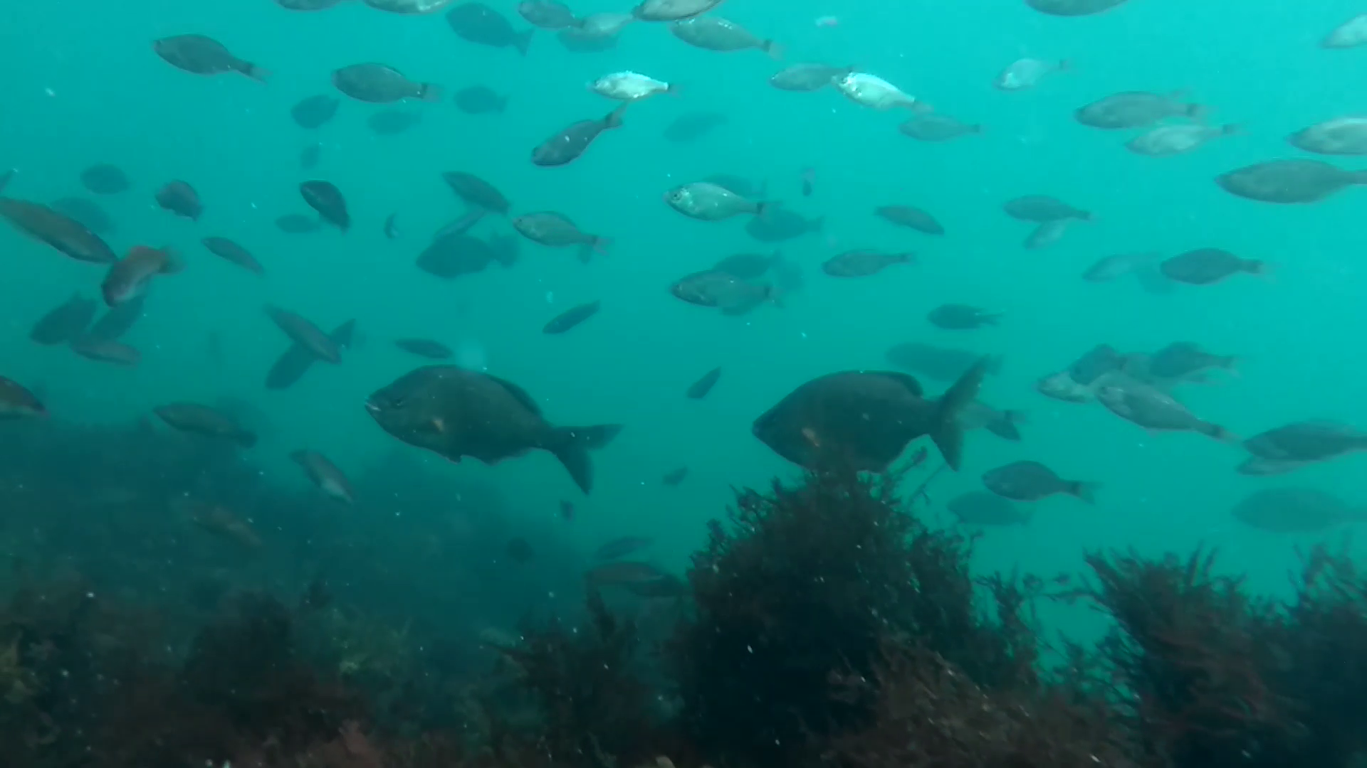 福貴浦漁港 釣り