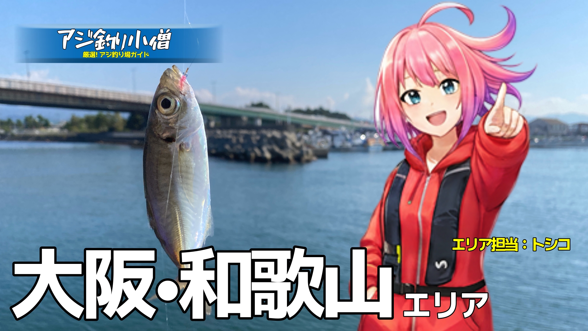 アジ釣り小僧　大阪・和歌山