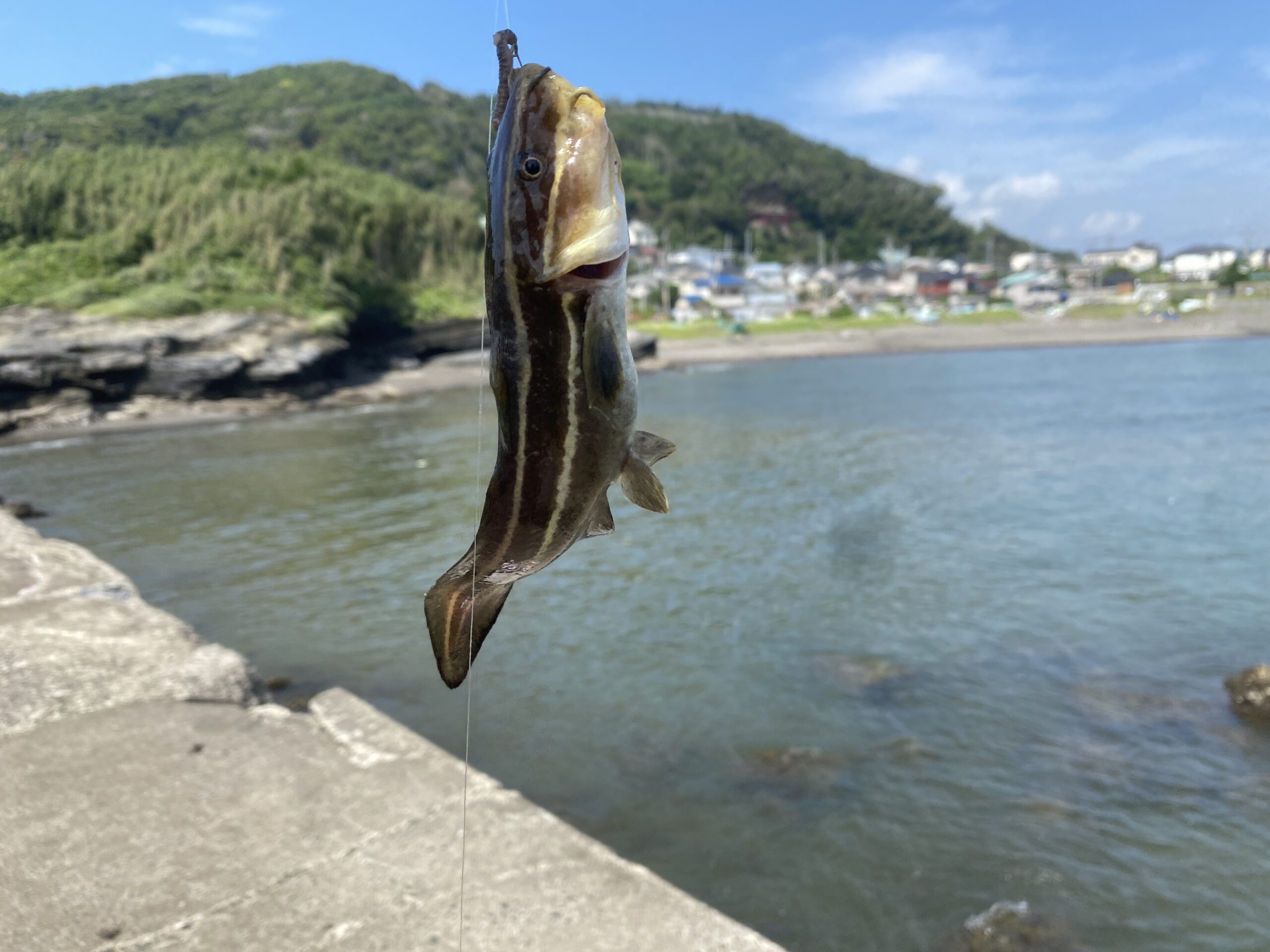 館山　丸山堤防　釣り