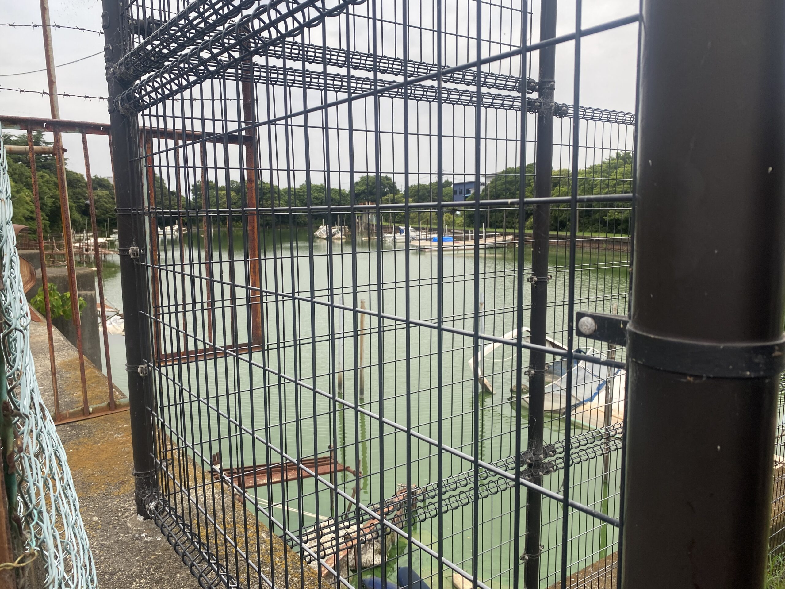 旧江戸川　河原排水機場　釣り