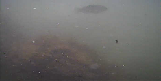 館山　丸山堤防　釣り