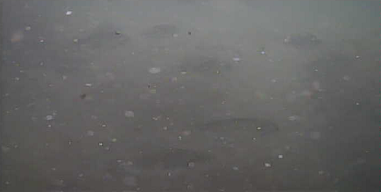 館山　丸山堤防　釣り