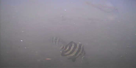 館山　丸山堤防　釣り