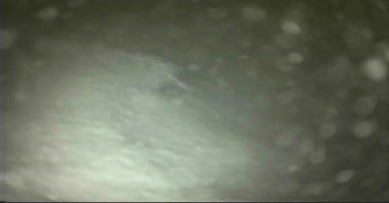 旧江戸川　河原排水機場　釣り