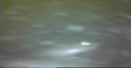 旧江戸川　河原排水機場　釣り