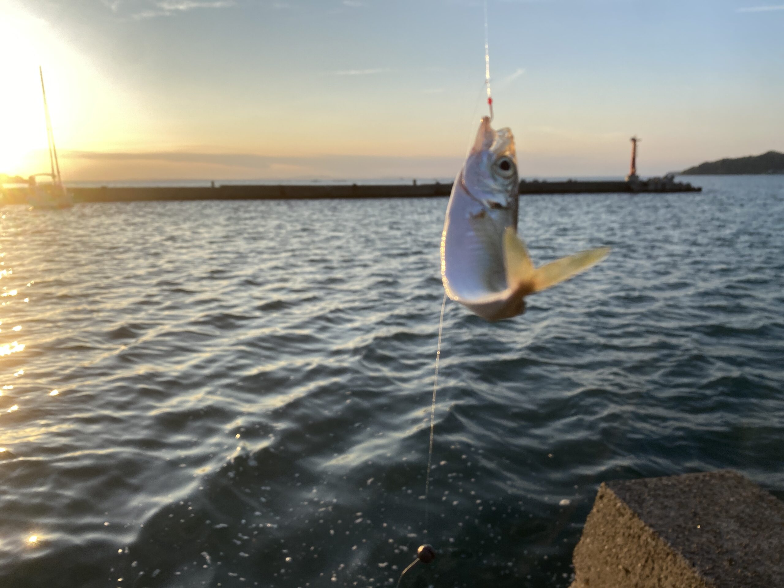 晴れパーク館山　釣り場のグルメ　富浦新港