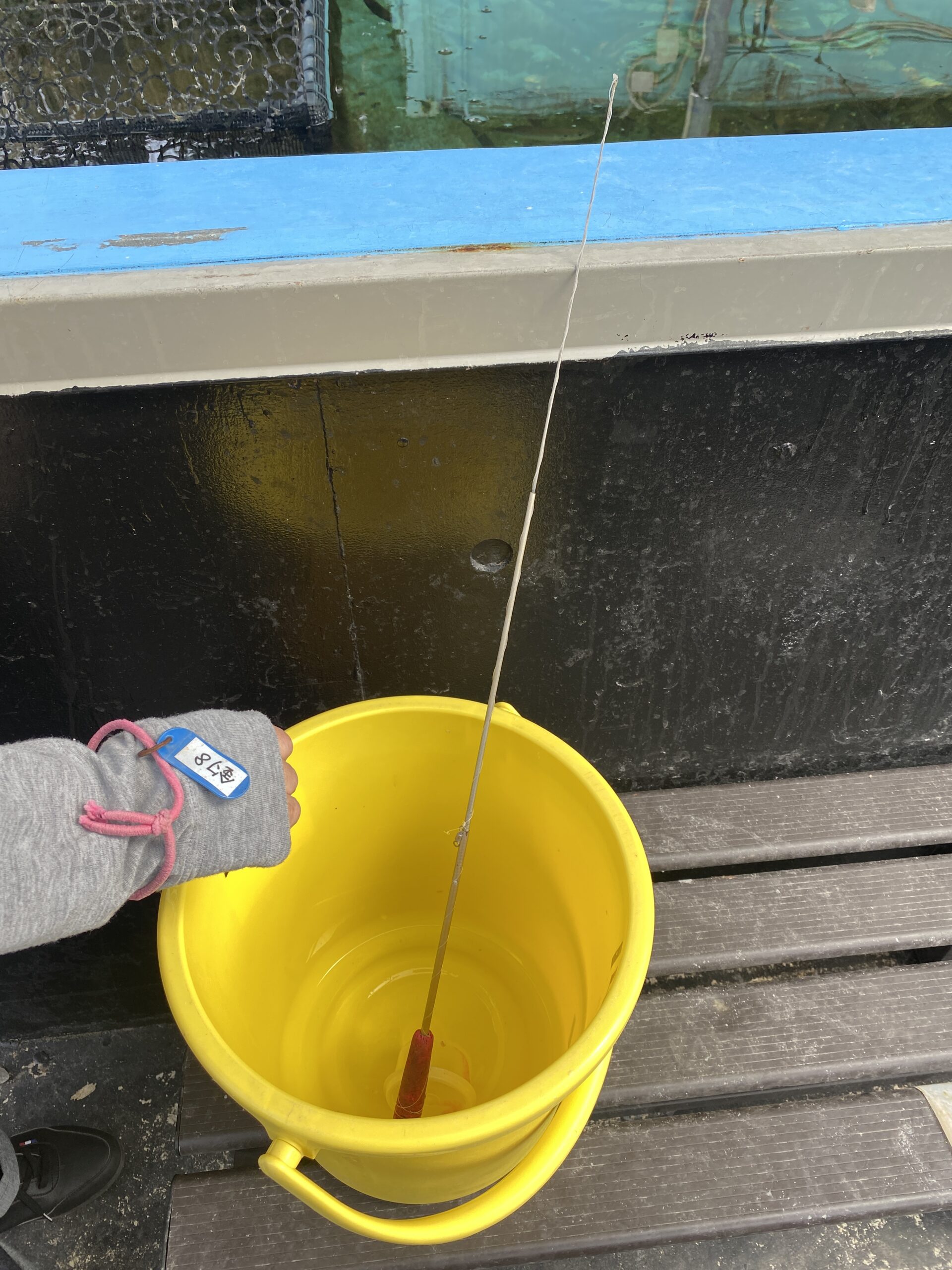 晴れパーク館山　釣り場のグルメ