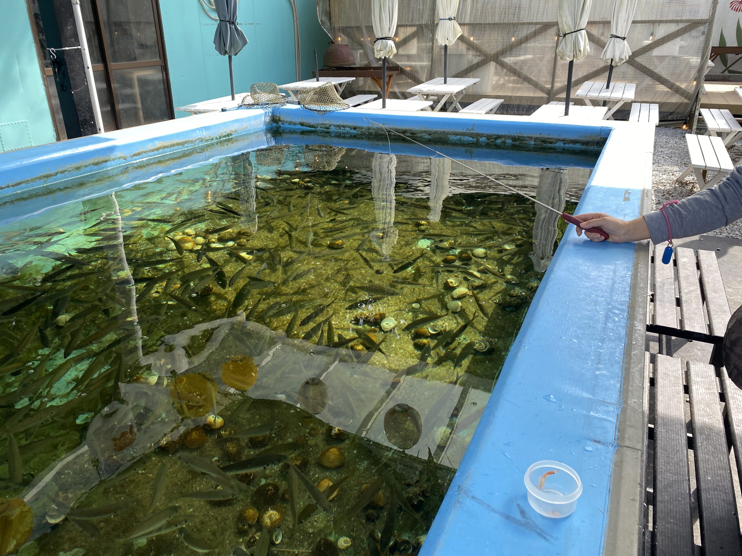 晴れパーク館山　釣り場のグルメ