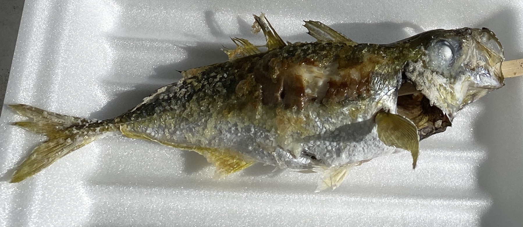 晴れパーク館山　釣り場のグルメ