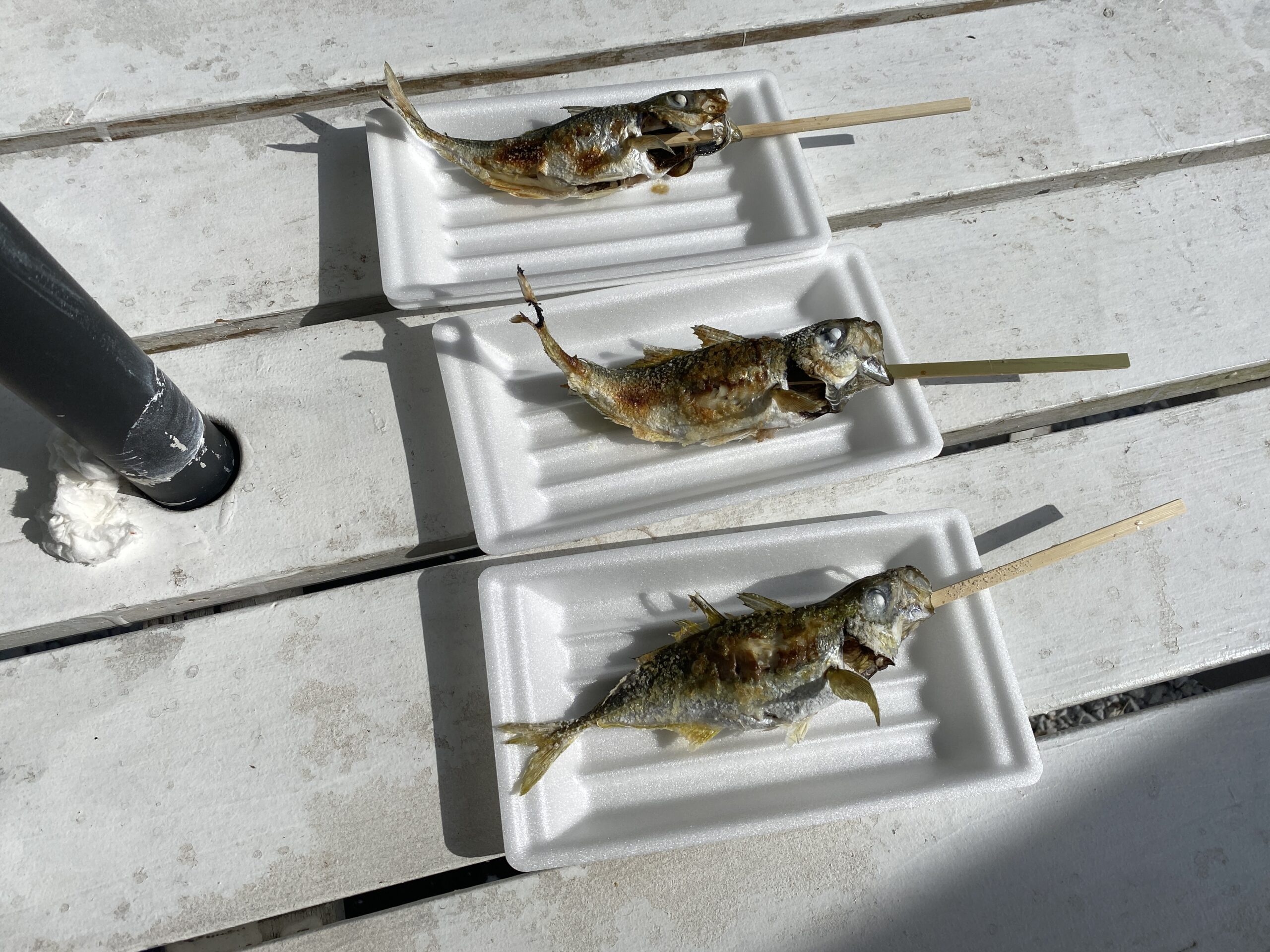 晴れパーク館山　釣り場のグルメ