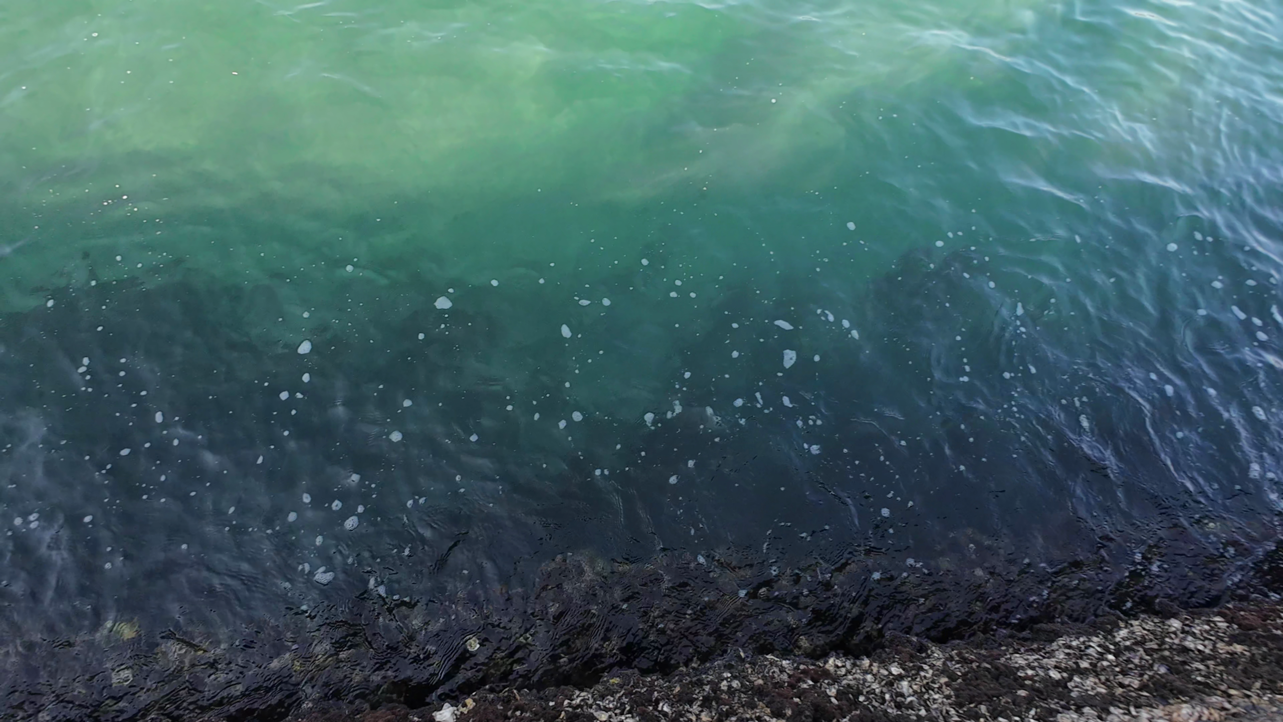 岡本桟橋（原岡桟橋）　釣り