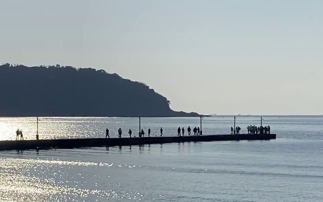 岡本桟橋（原岡桟橋）　釣り　人大杉
