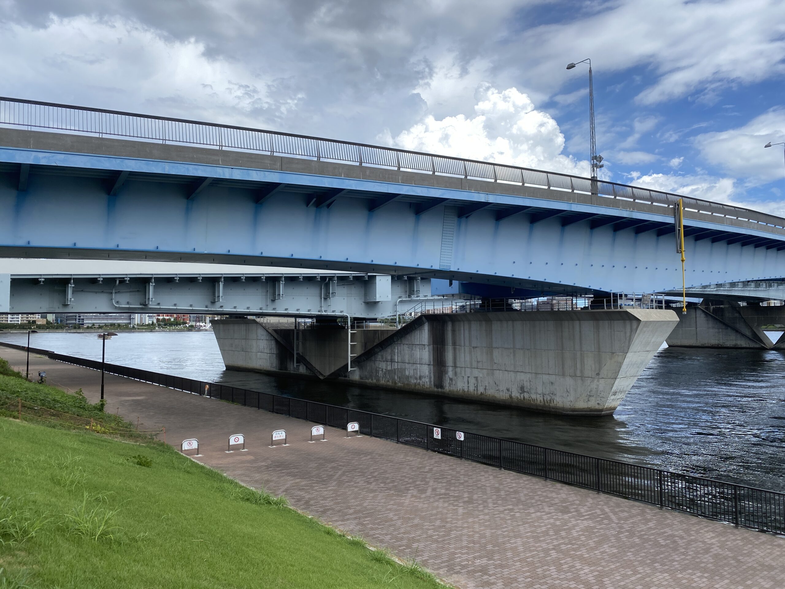 晴海緑道公園　釣り