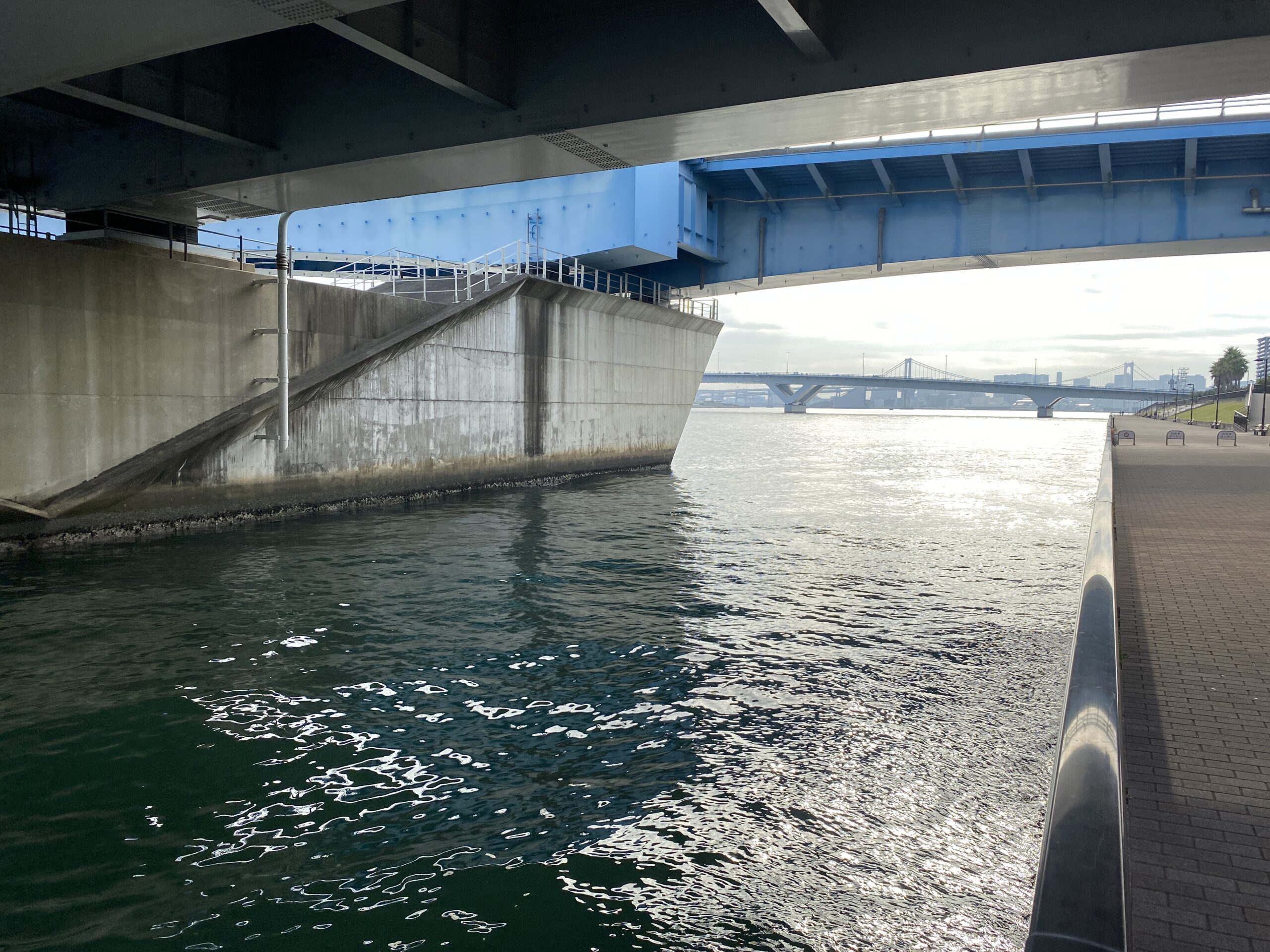 晴海緑道公園　釣り