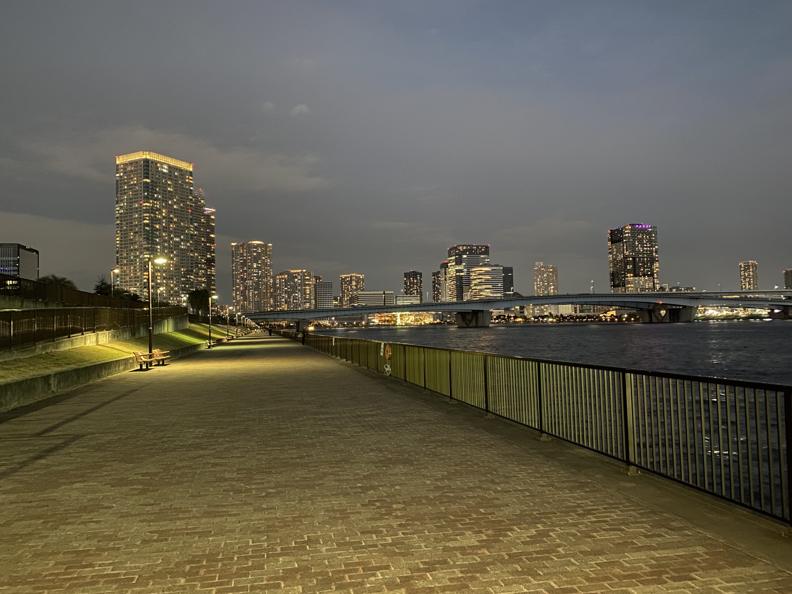 晴海緑道公園　釣り